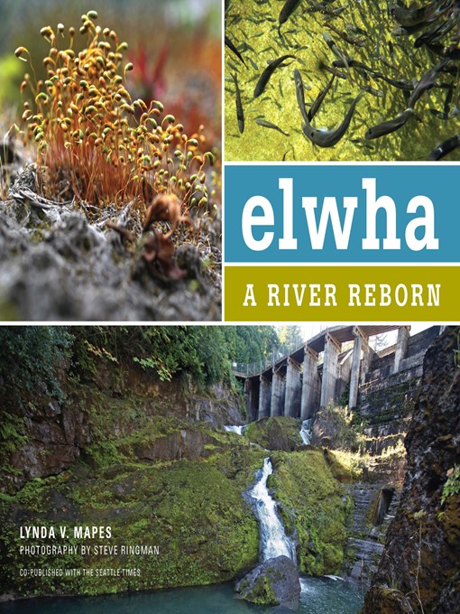 Title details for Elwha by Lynda Mapes - Available